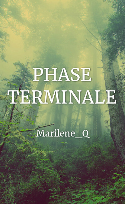 Image de couverture de PHASE TERMINALE