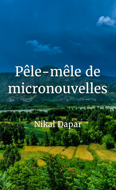 Image de couverture de Pêle-mêle de micronouvelles