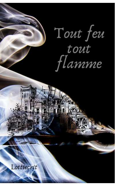 Image de couverture de Tout feu tout flamme