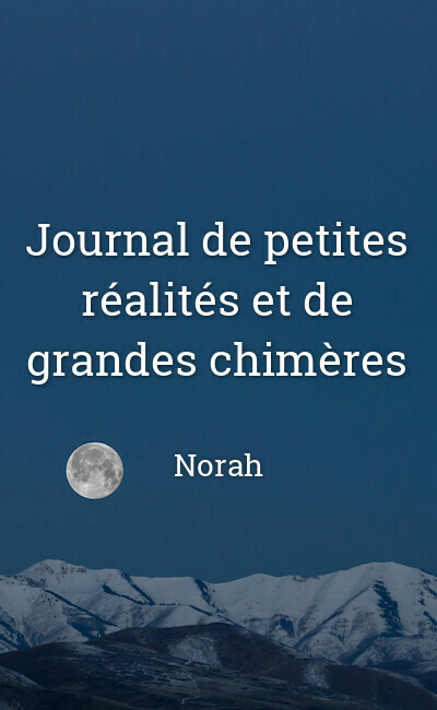 Image de couverture de Journal de petites réalités et de grandes chimères