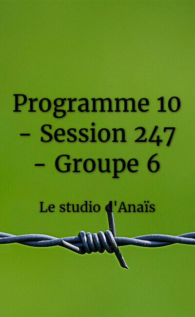 Image de couverture de Programme 10 - Session 247 - Groupe 6