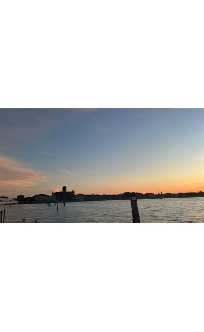 Image de couverture de Venise se coiffe