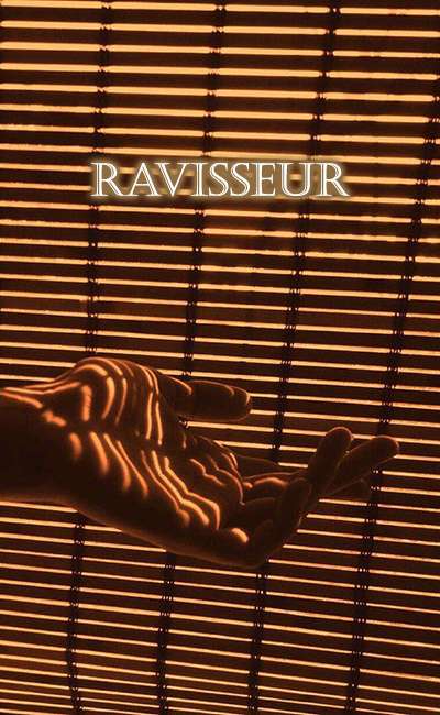 Image de couverture de Ravisseur