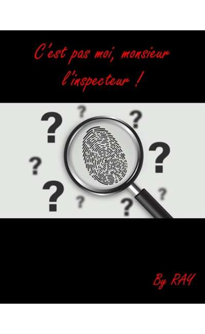 Image de couverture de C'EST PAS MOI MONSIEUR L'INSPECTEUR
