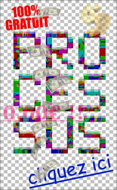 Image de couverture de P R 0 C E S S U S