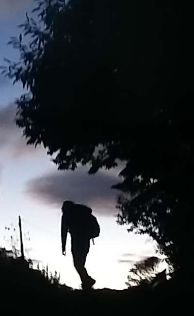 Image de couverture de Alors raconte