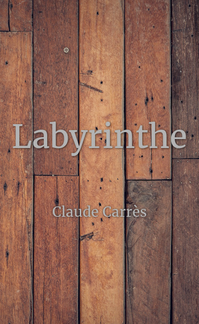 Image de couverture de Labyrinthe