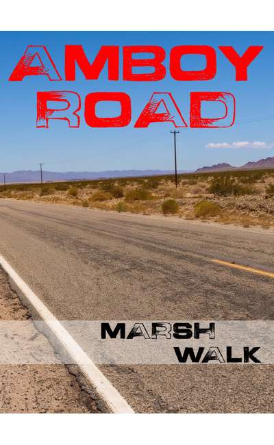 Image de couverture de AMBOY ROAD