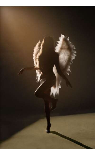 Image de couverture de Nos 'elles' déployées