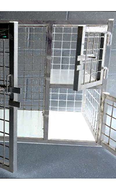 Image de couverture de La cage.