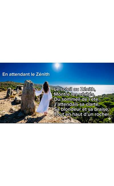 Image de couverture de En attendant le Zénith