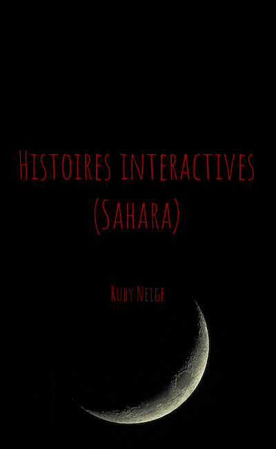 Image de couverture de Histoires interactives (Sahara)