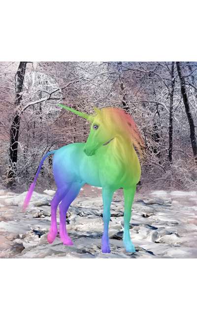 Image de couverture de La Licorne