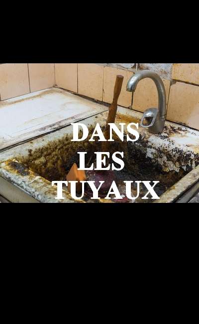 Image de couverture de Réponse à "Le moins glamour possible"
