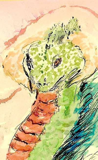 Image de couverture de 365 Poèmes de Dess Side