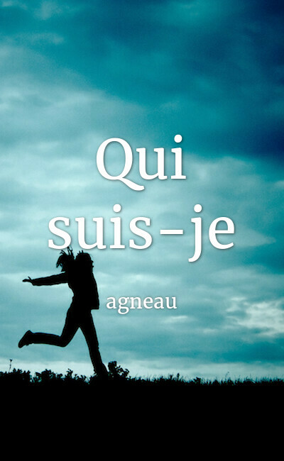 Image de couverture de Qui suis-je