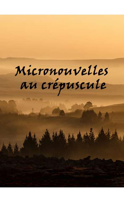 Image de couverture de Micronouvelles au crépuscule