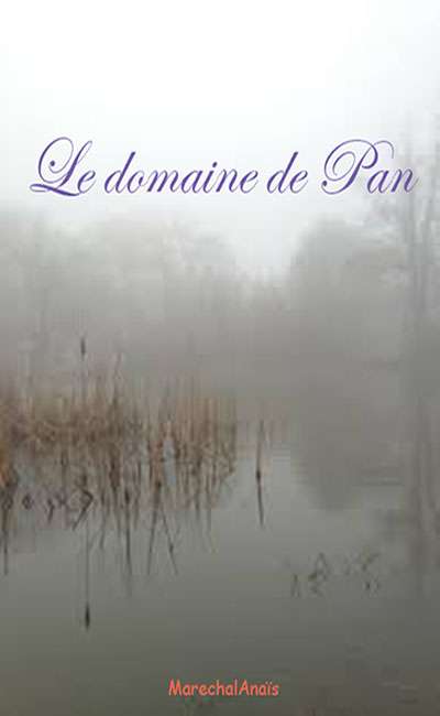 Image de couverture de Le domaine de Pan