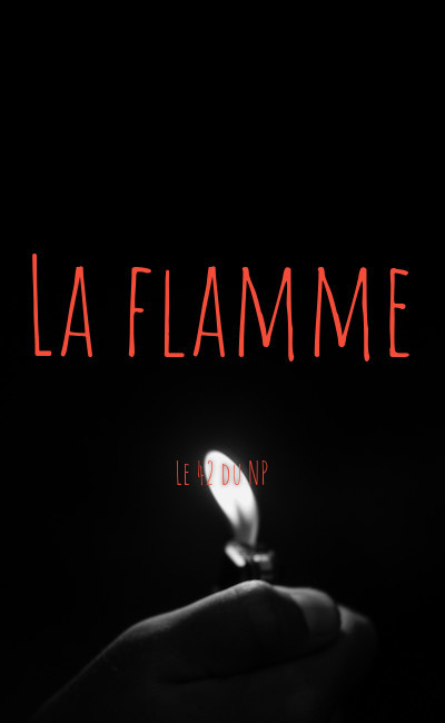 Image de couverture de La flamme