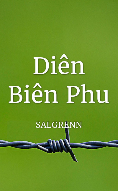 Image de couverture de Diên Biên Phu