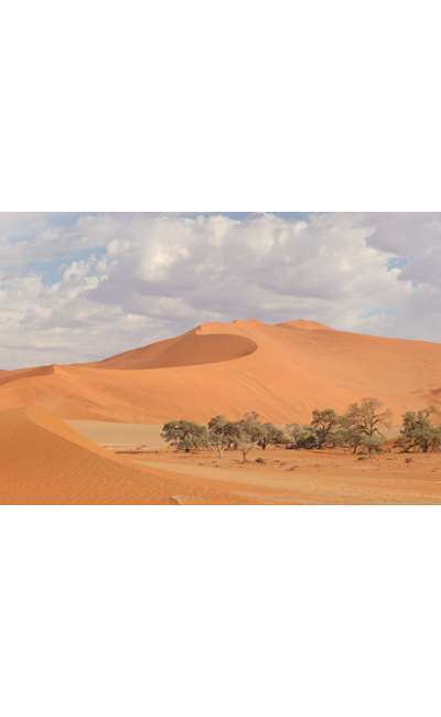 Image de couverture de Passion dans les dunes