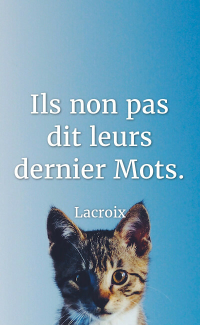 Image de couverture de Ils non pas dit leurs dernier Mots.