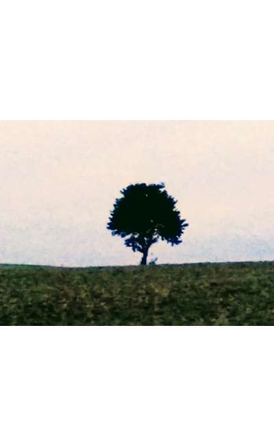 Image de couverture de Fugue
