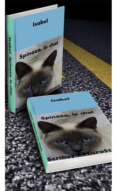 Image de couverture de Spinoza, le chat