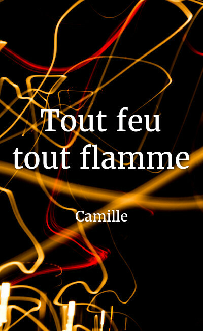 Image de couverture de Tout feu tout flamme