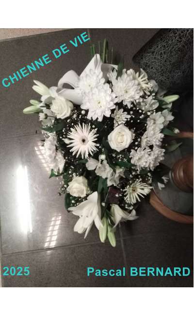 Image de couverture de Chienne de vie