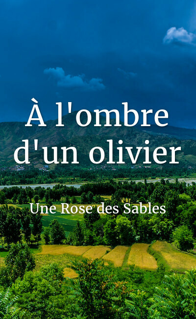 Image de couverture de À l'ombre d'un olivier