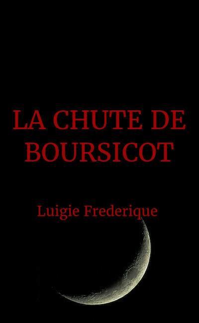 Image de couverture de LA CHUTE DE BOURSICOT