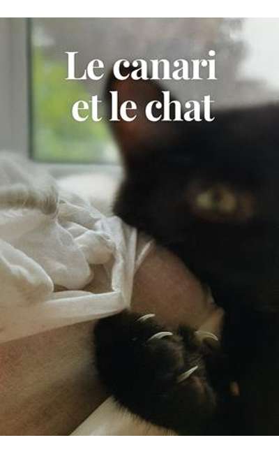 Image de couverture de Origines