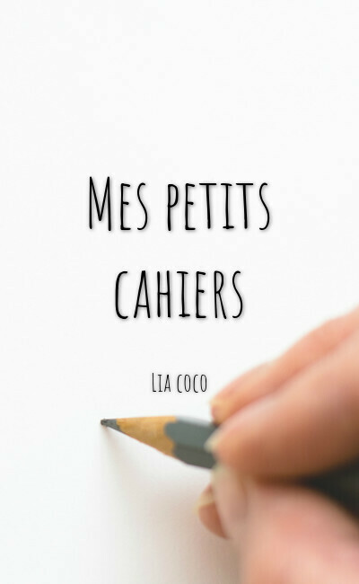 Image de couverture de Mes petits cahiers