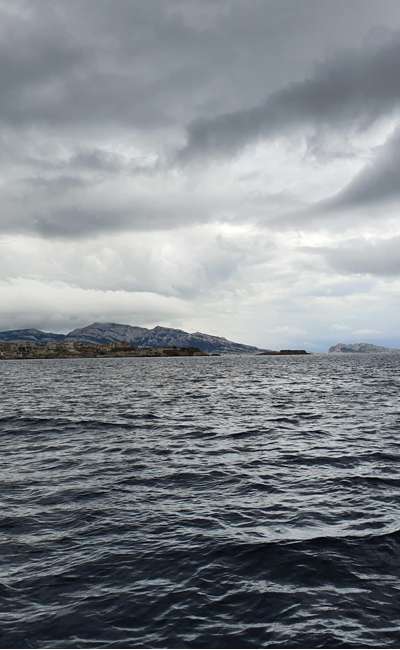 Image de couverture de Le goût du sel