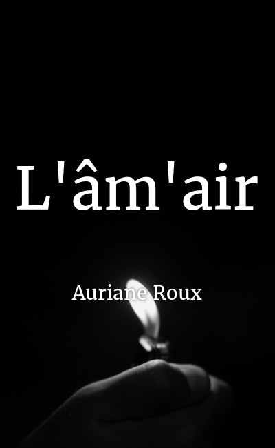 Image de couverture de L'âm'air