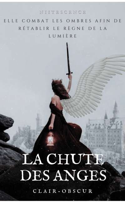 Image de couverture de La Chute des Anges - T1 : Clair-Obscur