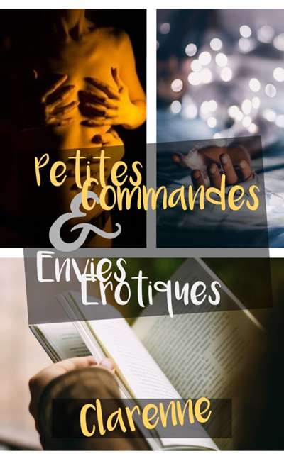 Image de couverture de Petites commandes & envies érotiques
