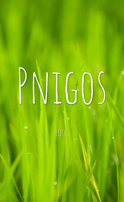 Image de couverture de Pnigos