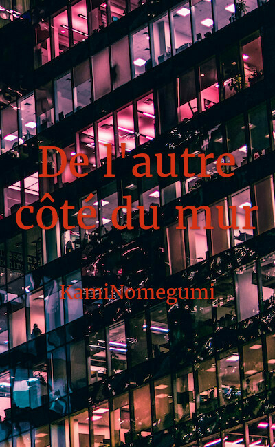 Image de couverture de De l'autre côté du mur