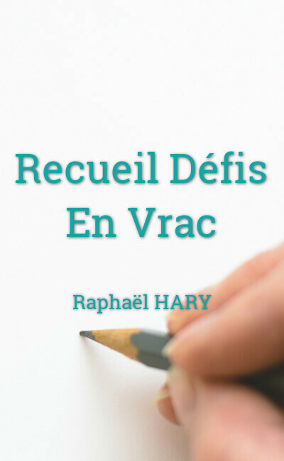 Image de couverture de Recueil Défis En Vrac