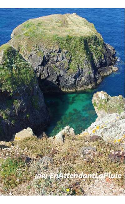 Image de couverture de La falaise (Loreleï)