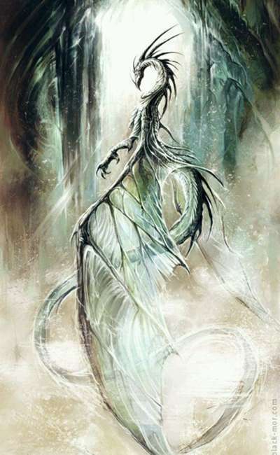 Image de couverture de Équanimité