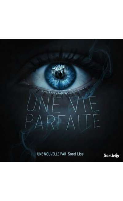 Image de couverture de Une vie parfaite