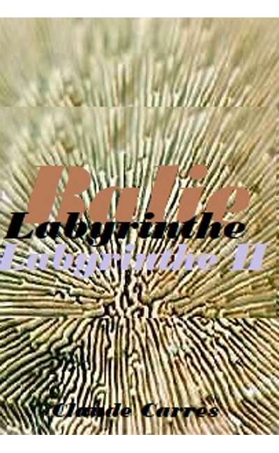 Image de couverture de Labyrinthe 2