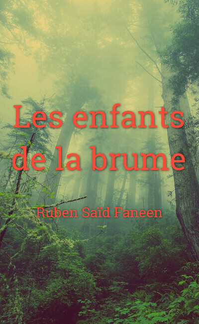 Image de couverture de Les enfants de la brume