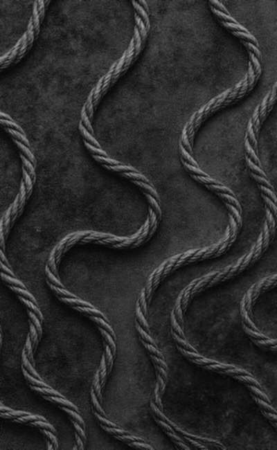 Image de couverture de L’Art de la Tension