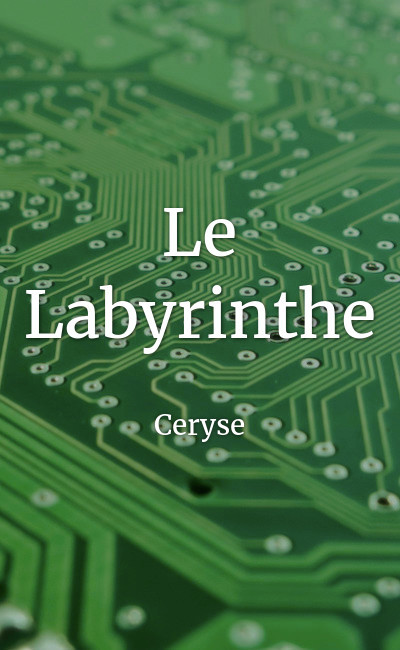 Image de couverture de Le Labyrinthe