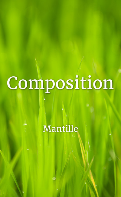 Image de couverture de Composition