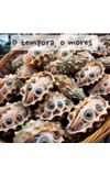 Image de couverture de Moi, Ernesto 7 - O tempora, o mores